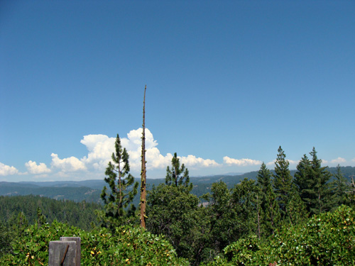 DSC03496-1